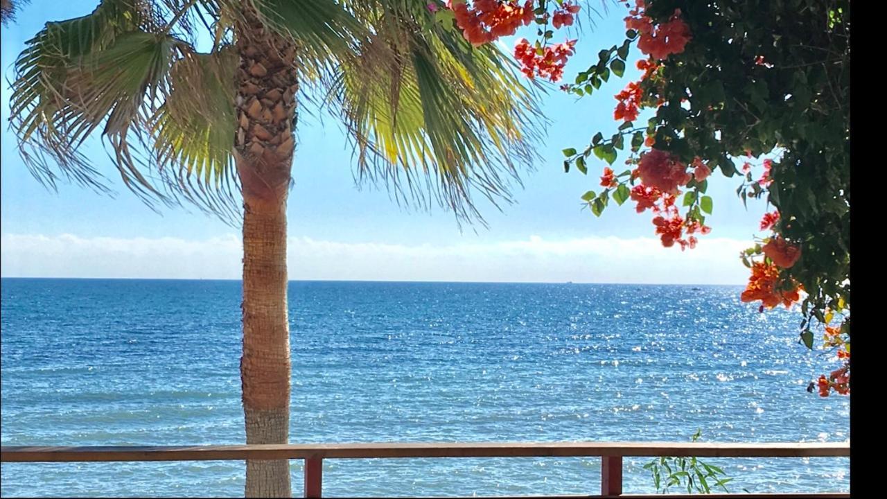 לה קאלה דה מיחאס Mi Capricho 4B Beachfront - Apartment With Sea View - Costa Del Sol - מראה חיצוני תמונה